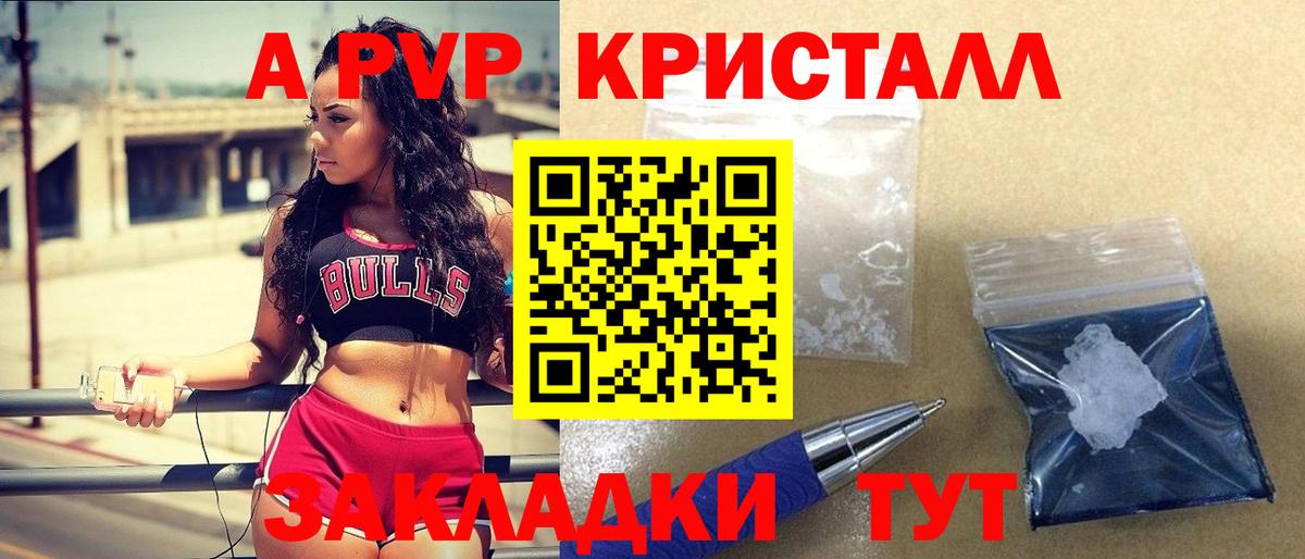 Альфа ПВП крисы CK Моздок