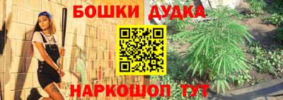 a pvp Сланцы