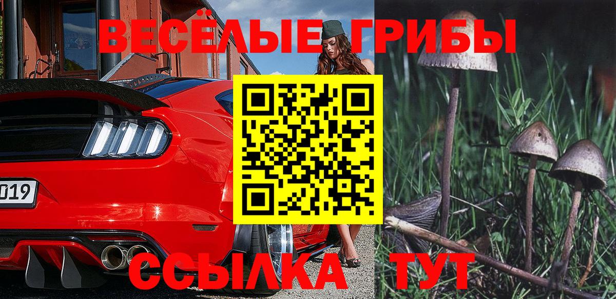 Галлюциногенные грибы Cubensis Моздок