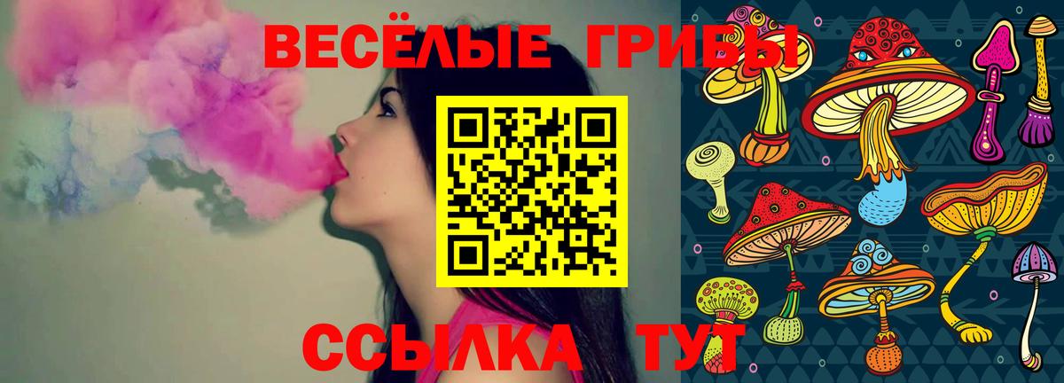 наркотики  Вход с VPN  Псилоцибиновые грибы прущие грибы  Моздок  Галлюциногенные грибы Cubensis 